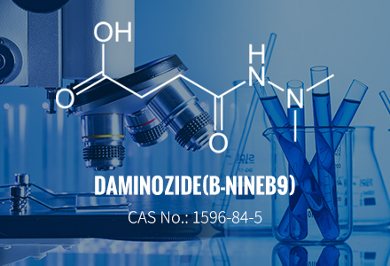 Даминоозид (B-девять / B9) CAS 1596-84-5